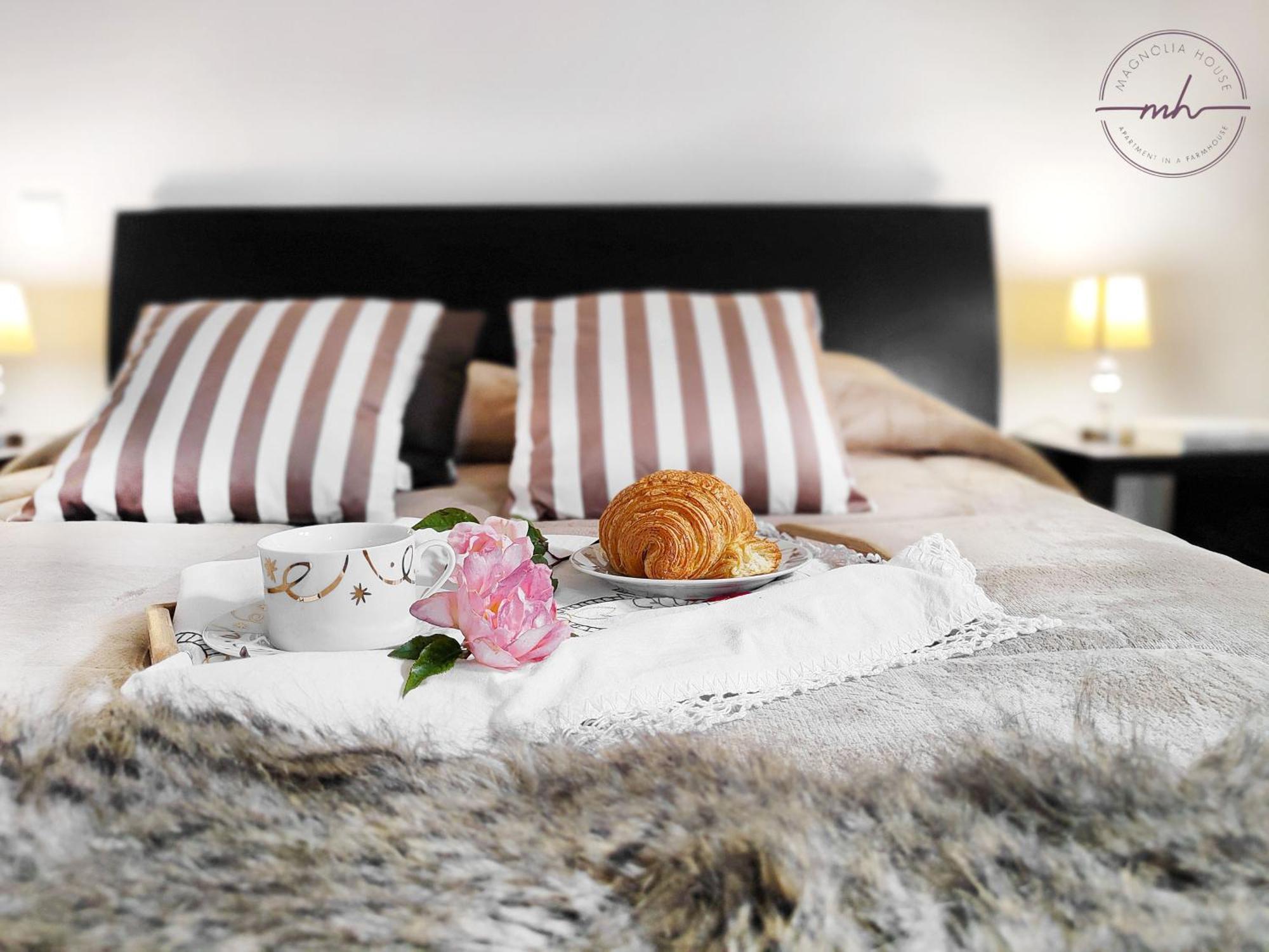 Magnolia House Apartment ซานตาครูซ ภายนอก รูปภาพ